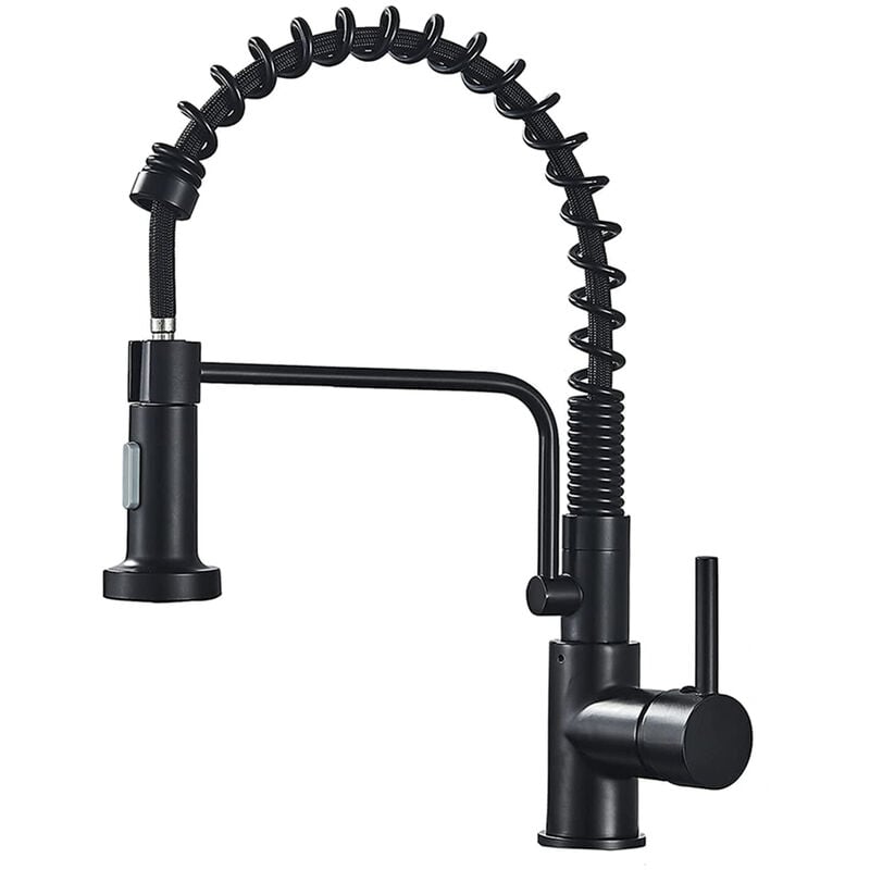 Petites Ecrevisses - Robinet Cuisine avec Douchette Extensible Mitigeur Monocommande Evier à Ressort Froide et Chaud Disponible Noir