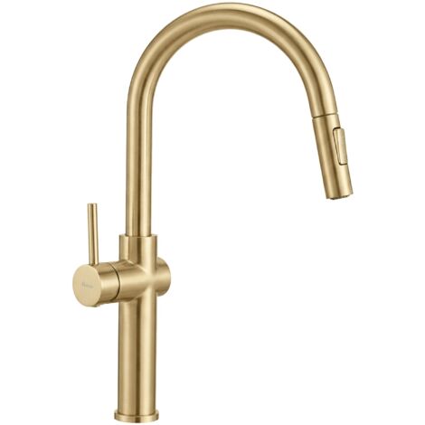 Robinet De Cuisine Rea Fresh Brush Gold High
