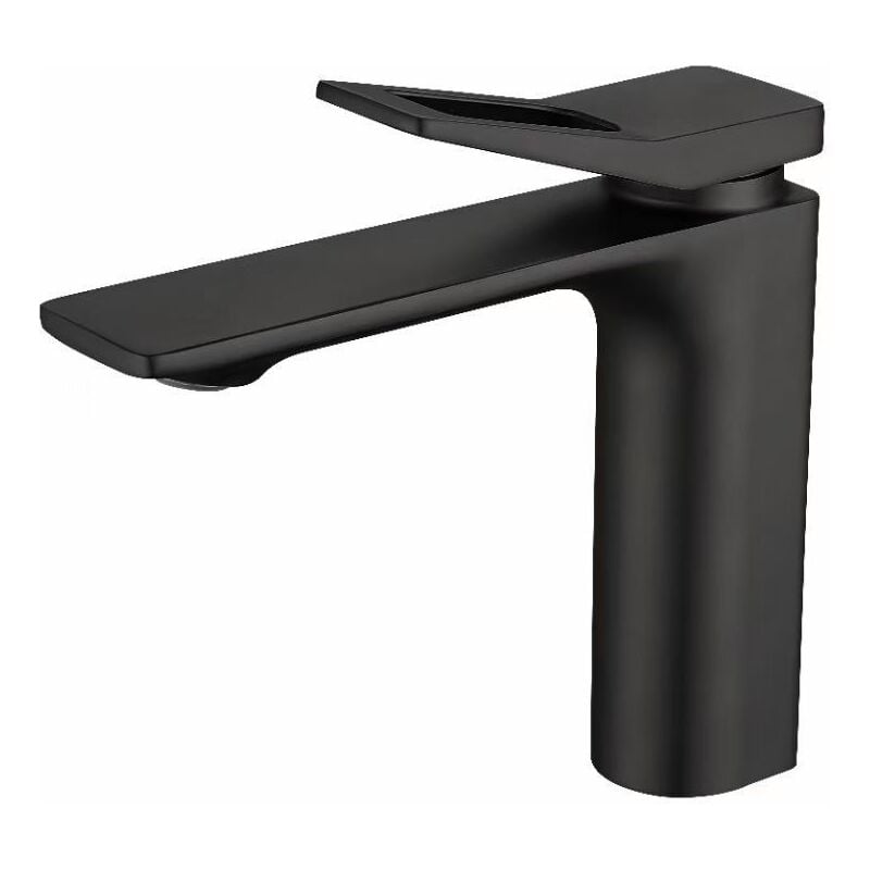 Robinet de lavabo,noir robinet de salle de bain, inox 304 brossé, robinet de lavabo anticalcaire, robinet chaud et froid,Tuyau non inclus-robinet