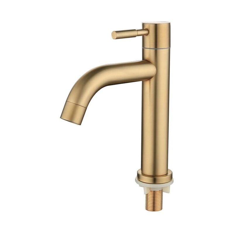 SNQ - Robinet d'eau froide simple pour lavabo de salle de bain en laiton, robinet de lavabo à poignée unique avec tuyau d'arrivée d'eau, or brossé
