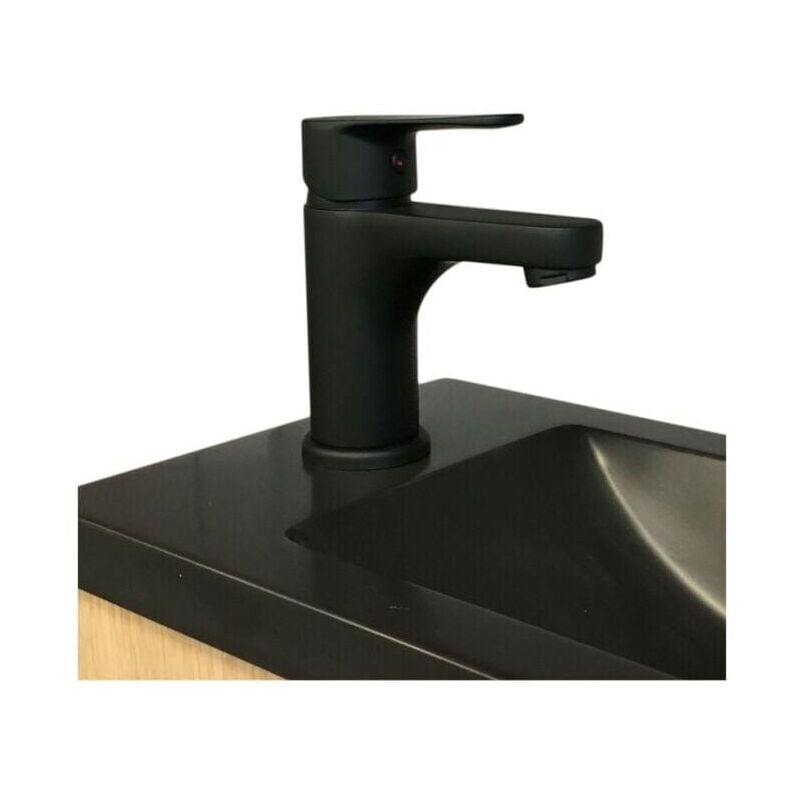 Robinet lave-mains - Mitigeur eau chaude et eau froide TAP Noir mat
