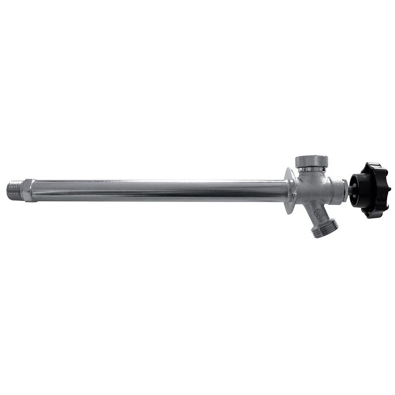 Watts - Robinet mural antigel merrill à purge automatique Mâle 1/2 Nez 3/4 25cm