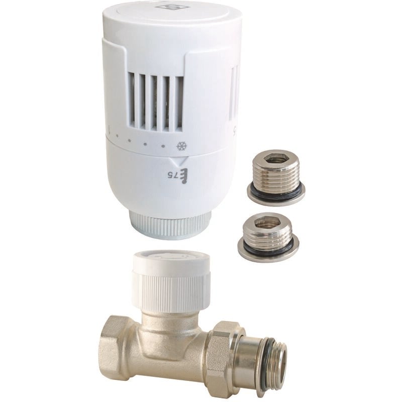 Somatherm For You - Robinet thermostatique haute performance T303 équerre universel