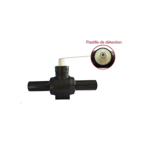 Robinet vanne 21010R0 - 32 mm - PLASSON