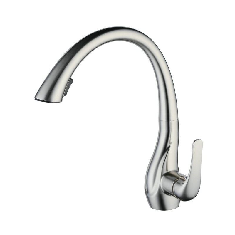 Esip - Robinet de Cuisine, Mitigeur Evier Robinet avec Douchette Extractible et Pulvérisateur Double Fonction, Rotatif à 360°, Poignée Unique, Froid