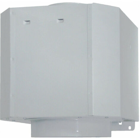 Roblin – Moteur de hotte déporté 650 m3/h – Puissance 275 W – Dimensions L 29,8 cm x H 33 cm x P 25,8 cm – Installation combles ou dépendances - 6301026-Moteur