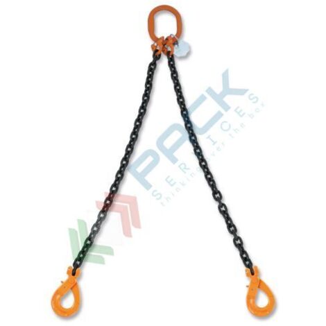Robur 8092SL D10 Pendente sollevamento con ganci Self-Locking 2 bracci 4,25 T - 1 m