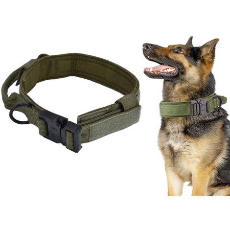 Robustes Hunde-Zughalsband mit verstellbaren Riemen und Kontrollgriff aus Nylon und Metall