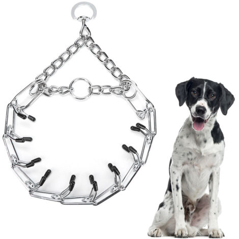 Robustes Hundetrainingshalsband aus Edelstahl, sichere, glatte Oberfläche