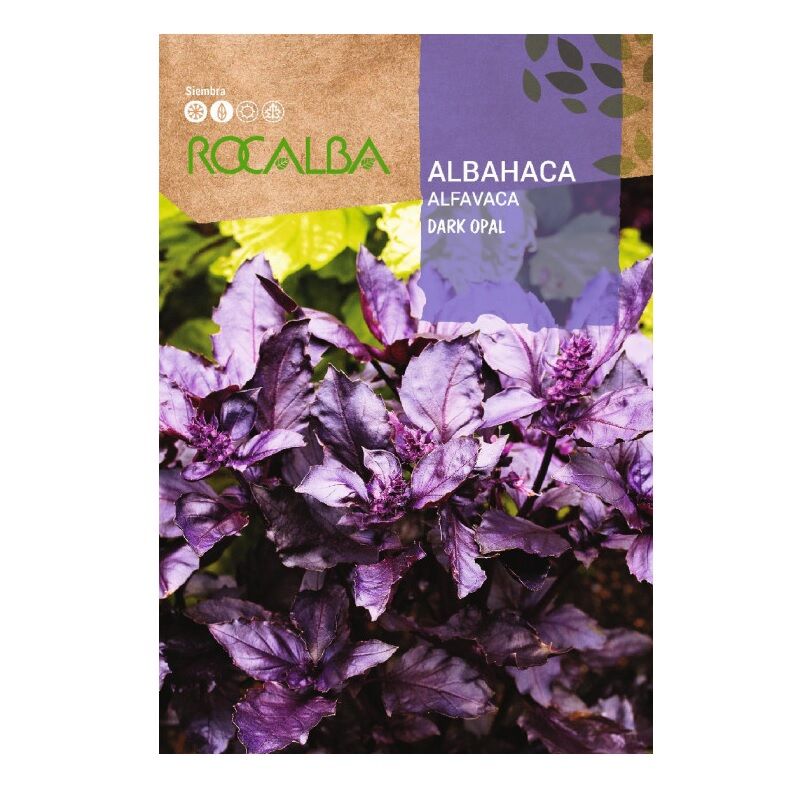 Rocalba - Albahaca Sacs d'opale noire 4G Graines