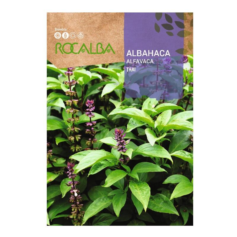 Rocalba - Albahaca Thai Schools 1g Seeds