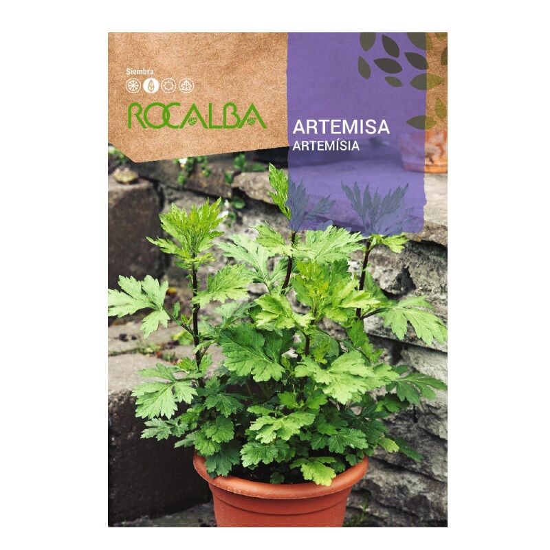 Artemisa Bags Seeds 1G - Rocalba