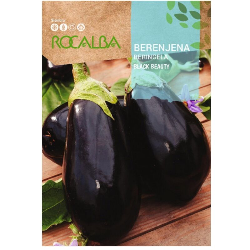 Rocalba - Berenjena Black Beauty 3G