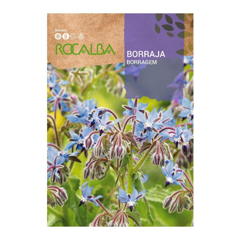 Borraja officinalis sac 4G graines - Rocalba