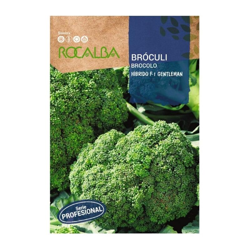 Rocalba - brocoli gentleman f-1 100 graines