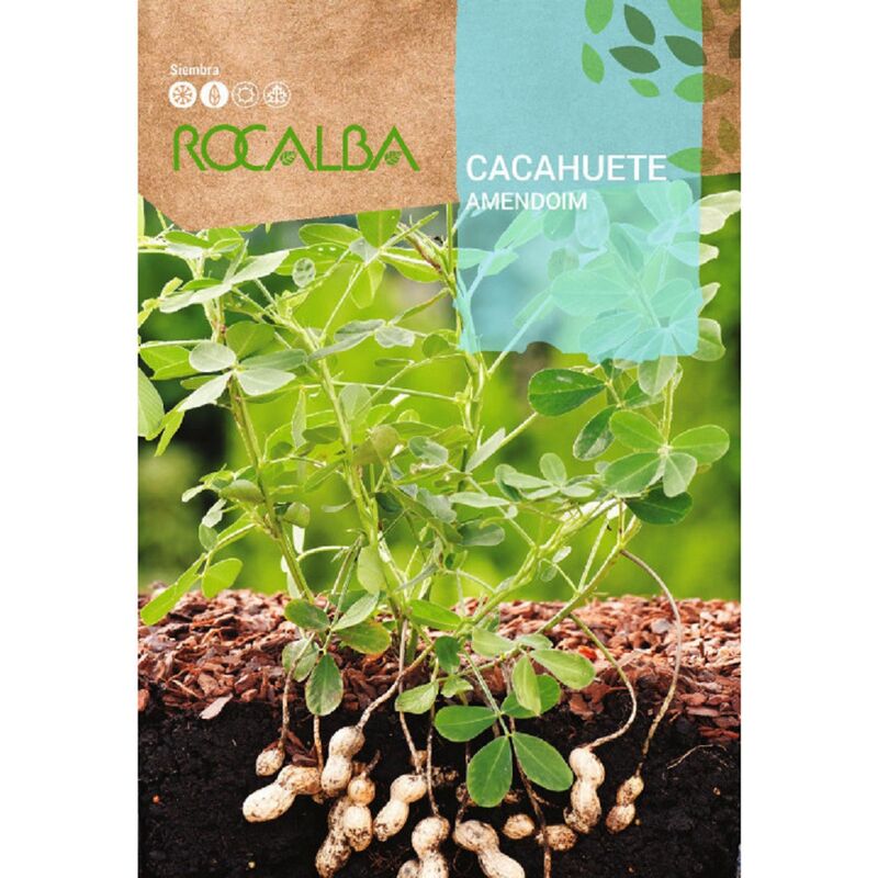 Rocalba - Arachide 10g, Pack 5x