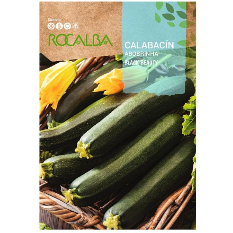 Rocalba - Calabacin Black Beauty 8g