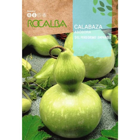 Rocalba Calabaza Emphasis del peregrino 3g x 5