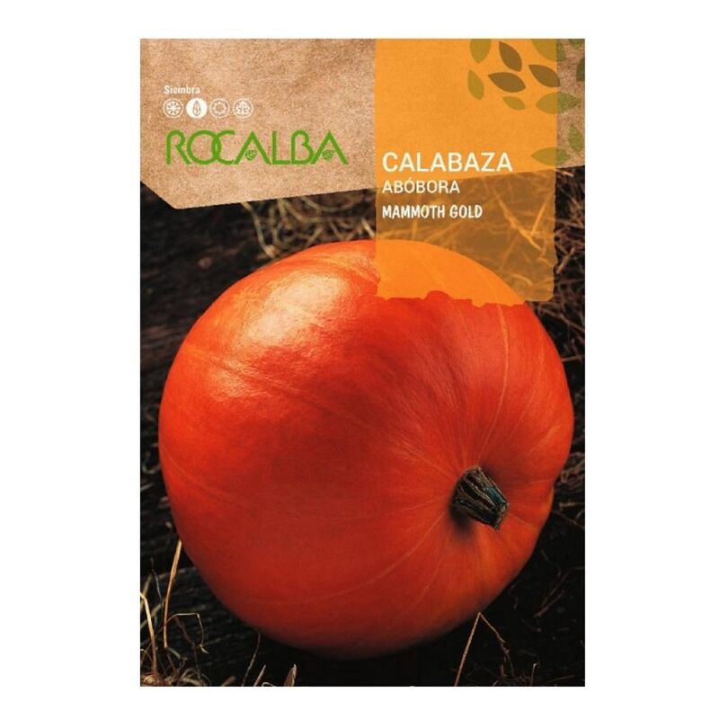 Rocalba - Calabaza Mammoth Gold 5G