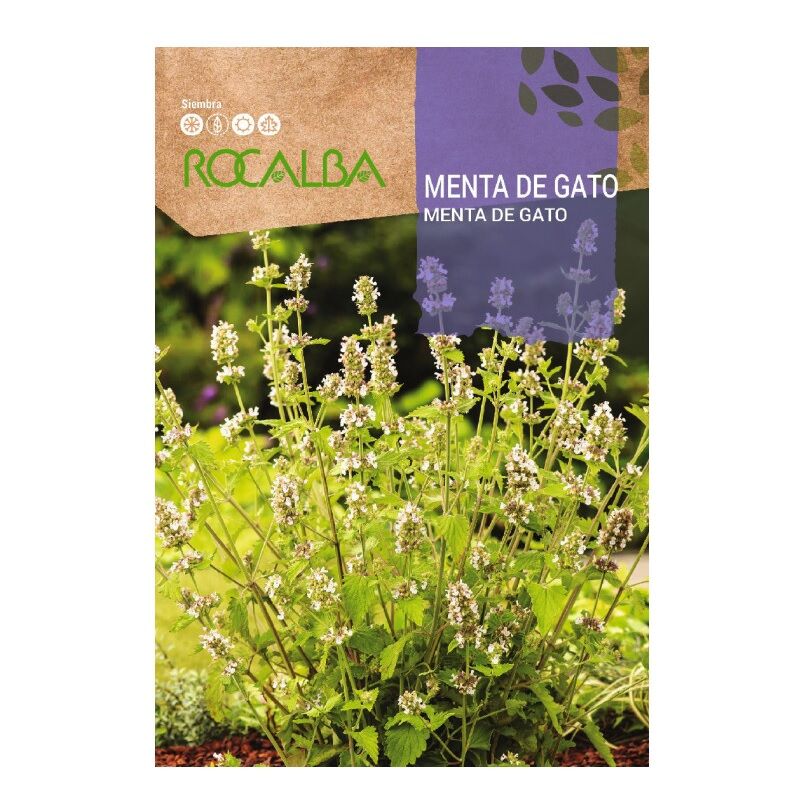 Rocalba - Cat ment sac graines
