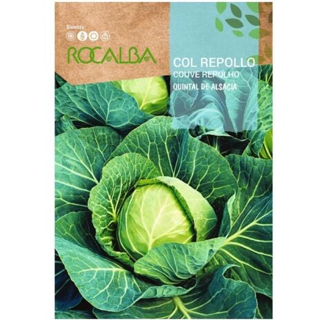 ROCALBA COL REPOLLO QUINTAL DE ALSACIA 8g x 5 sobres