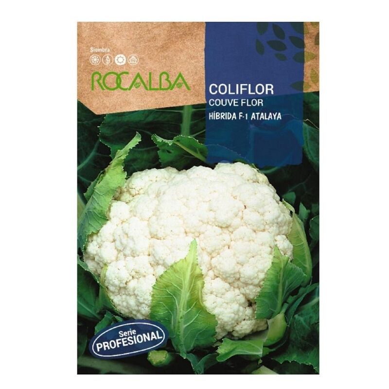 Rocalba - coliflor atalaya f-1 30 graines, Pack 5x