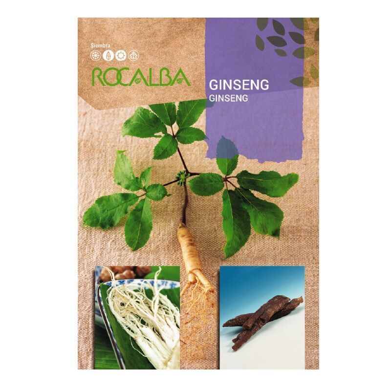 Rocalba - Ginseng Graines de baccalaurEat 4 graines
