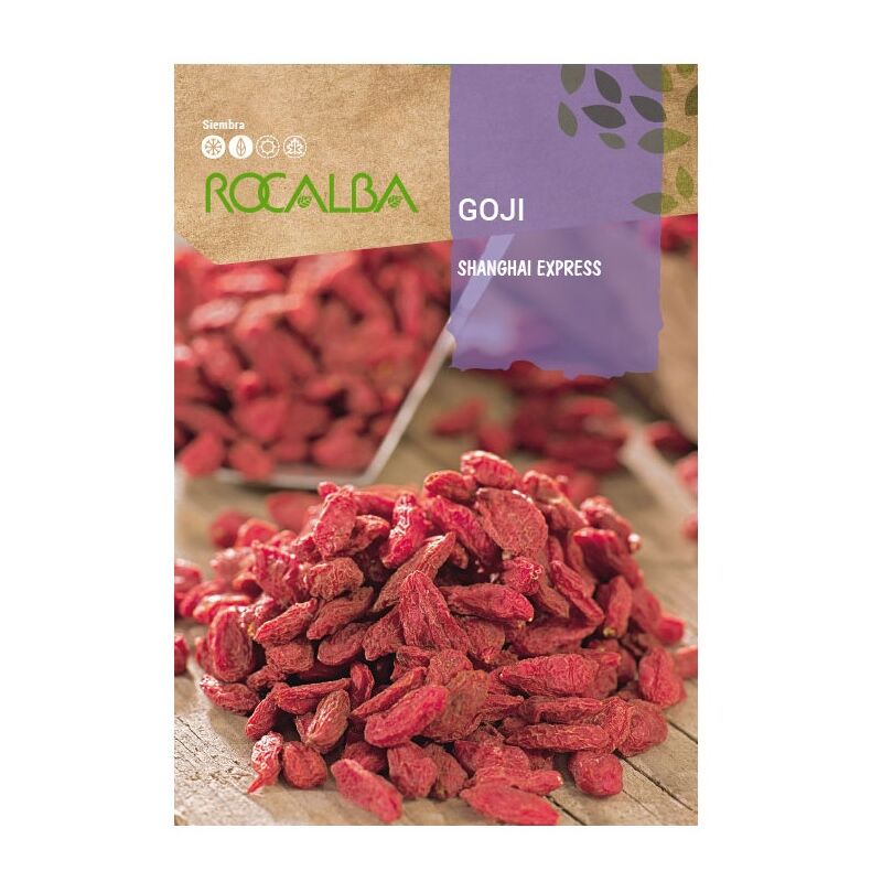 Rocalba - Gogi Shangai Express Bags Seeds 30 graines ap