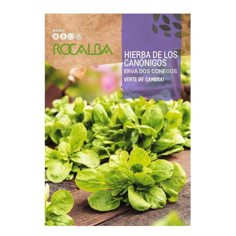 Rocalba - Grass of the Canonigos Bags Seeds 6G