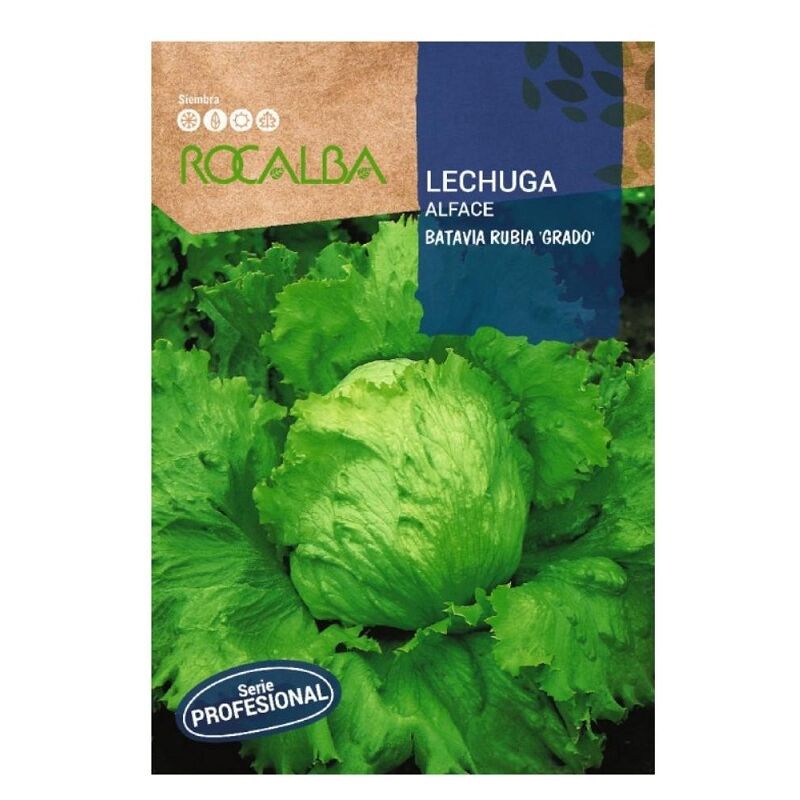Rocalba - Lechuga Batavia Blonde Grade 50 Pildraras, Pack 5x