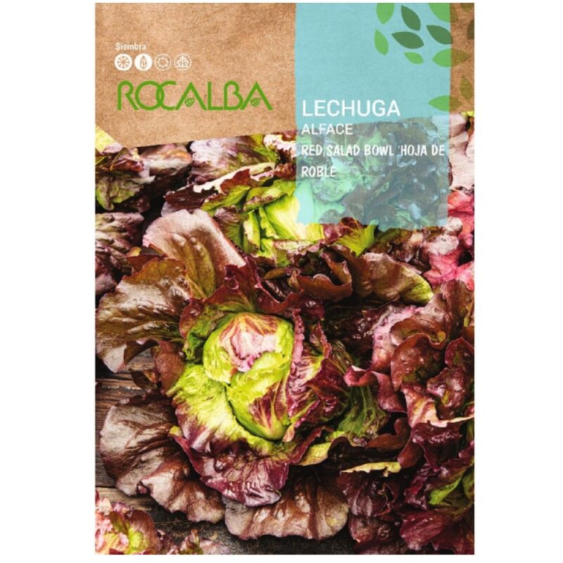 Rocalba - Lechuga Red Salad Bowl Sheet en chne 6G
