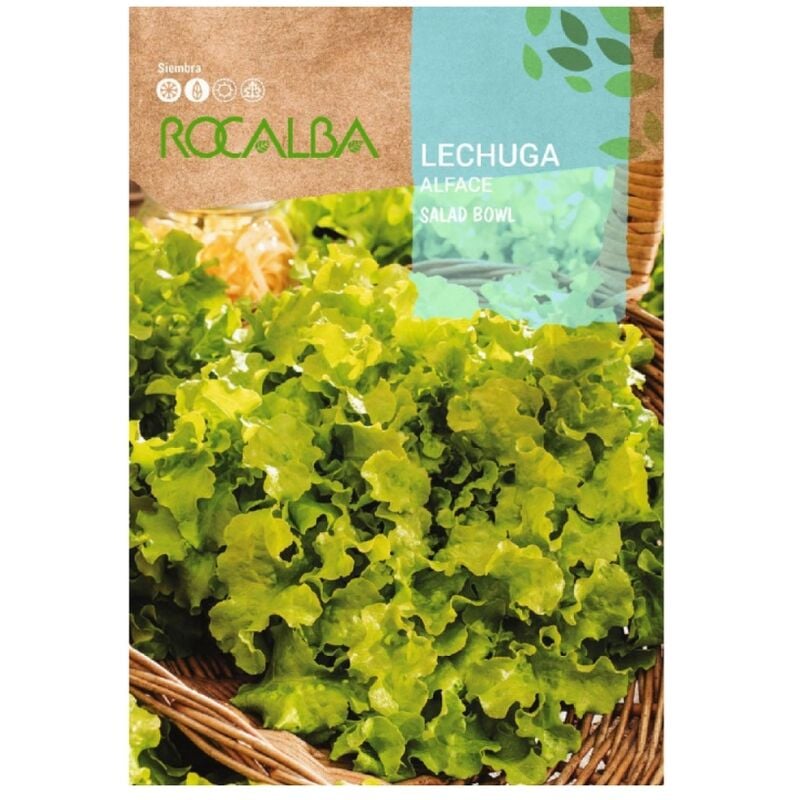 Rocalba - Lechuga Salad Bowl 6G