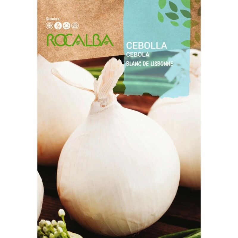 Rocalba - Lisbonne 100g Blanc Semilla