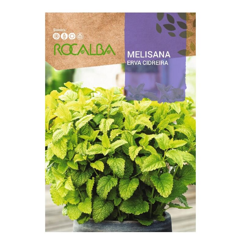 Rocalba - Melisana Bags Seeds 1G