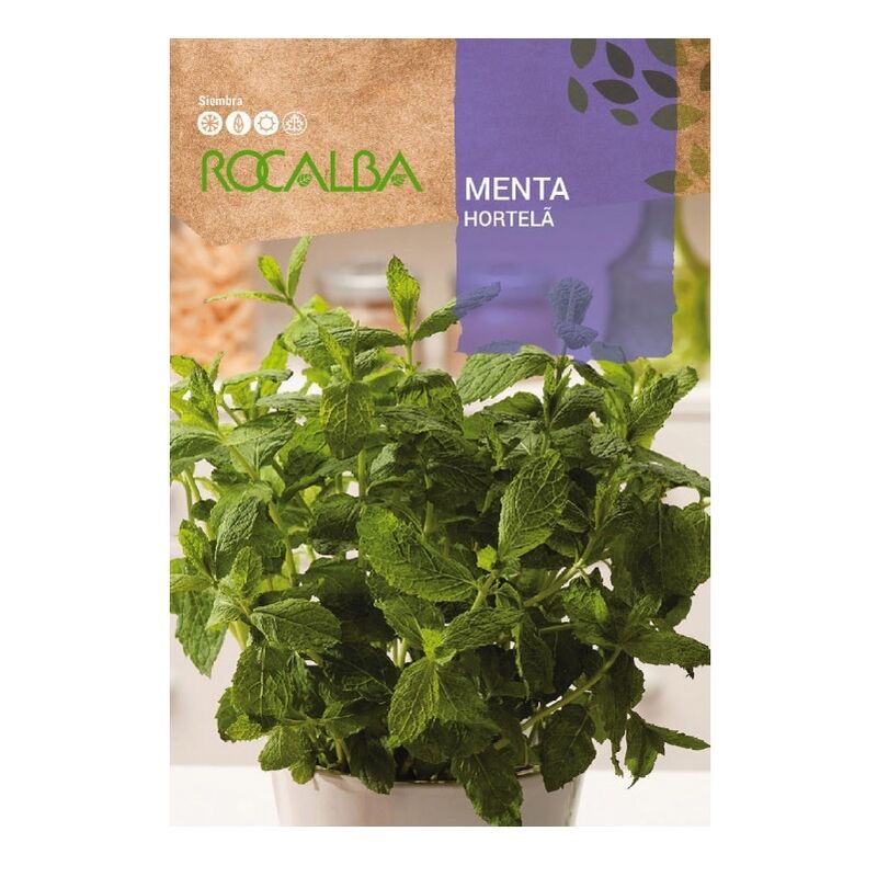 Rocalba - Minta Picitas Seeds 0,5 g