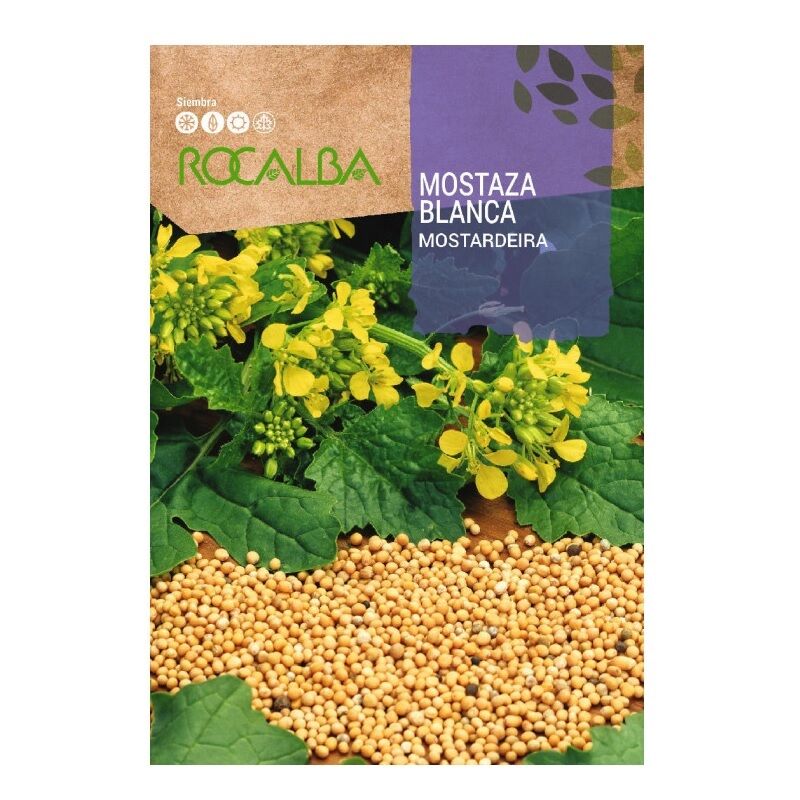 Rocalba Mustaza Blanca Picitas Seeds 10g
