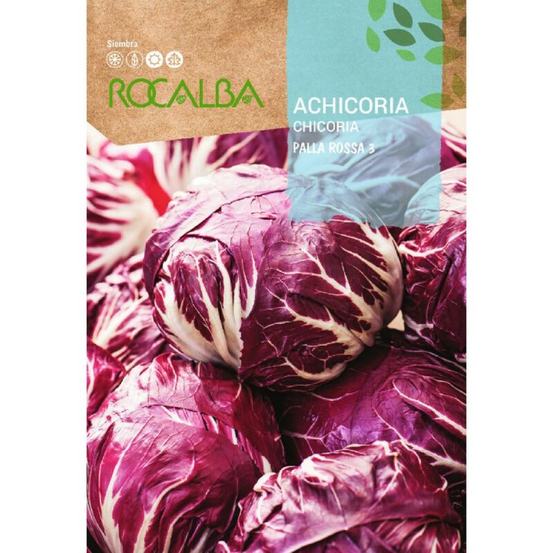 Rocalba Seed Achicoria Palla Rossa 3 500G