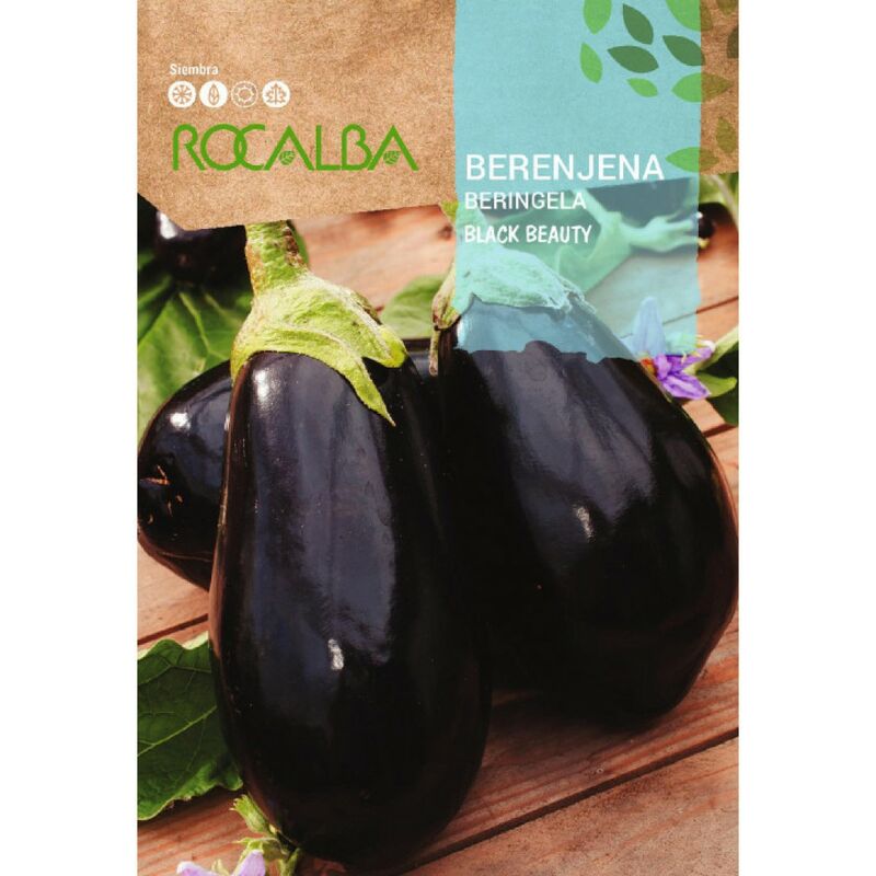 Rocalba - Seed Berenjena Black Beauty 100g