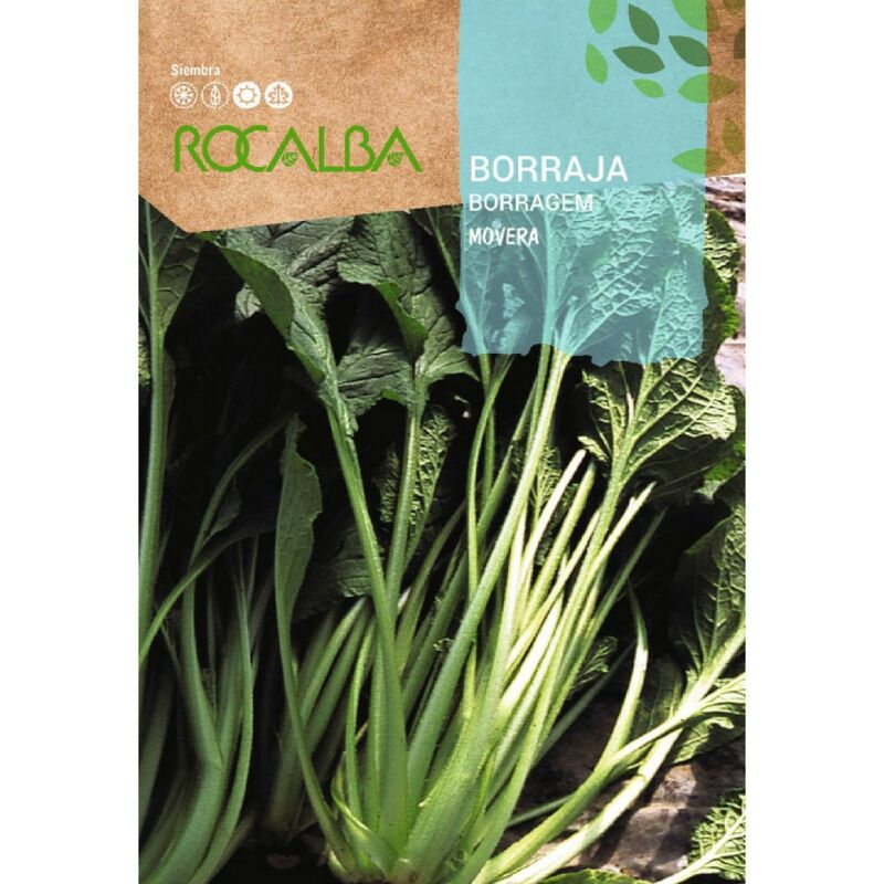 Seed Bueraja Movera 500G - Rocalba