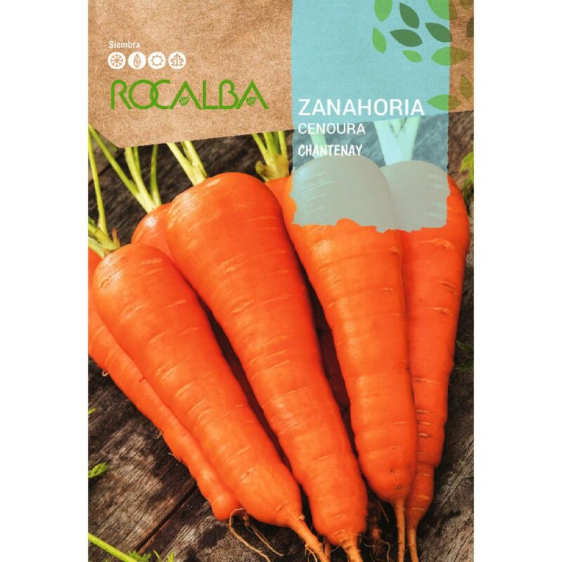 Seed Chantany Carrot 500G - Rocalba