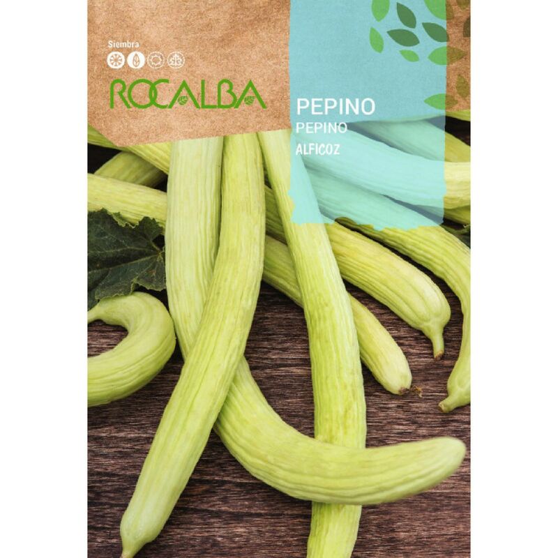 Seed Cucumber 500g - Rocalba