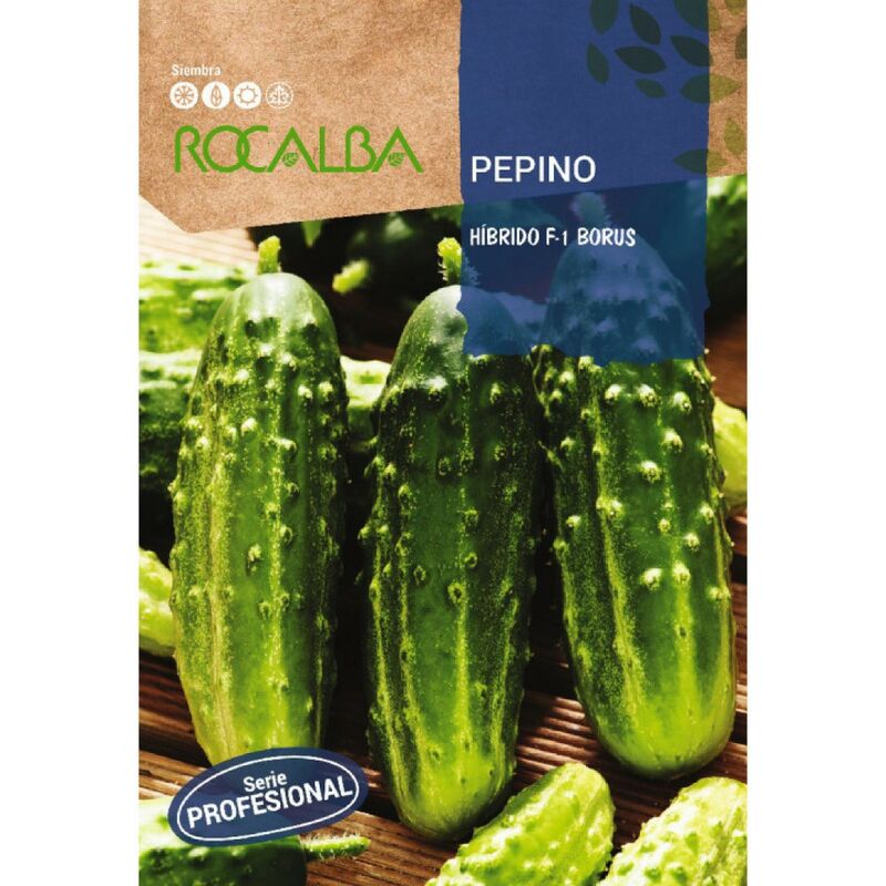 Rocalba Seed Cucumber Borus F-1 10G, Pack 5x