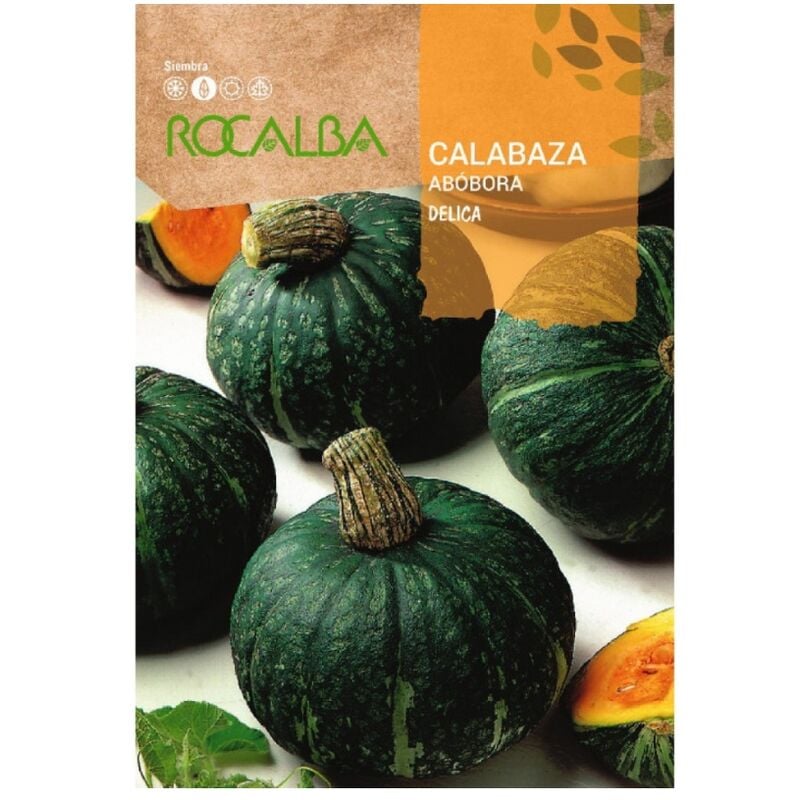 Rocalba - Seed Curbaza Curabaza 500G