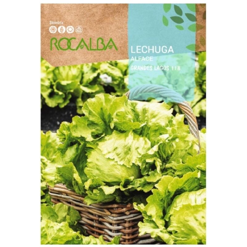 Rocalba - Seed Laitue grands lacs 118 100g