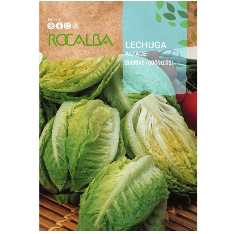 Rocalba - Seed Laitue Sucrine (Cogollos) 100g