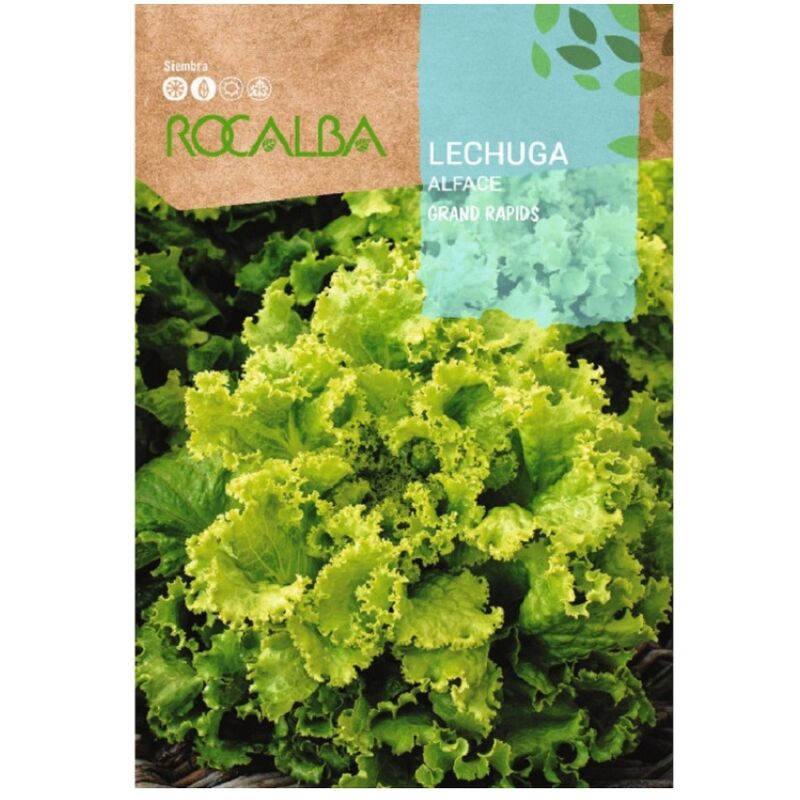 Rocalba - Seed Lechuga Grand Rapids 500G