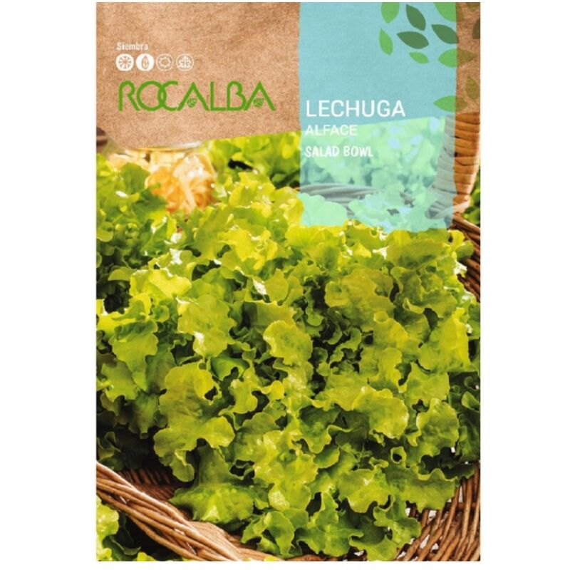 Rocalba Seed Lechuga Salad Bowl 100g
