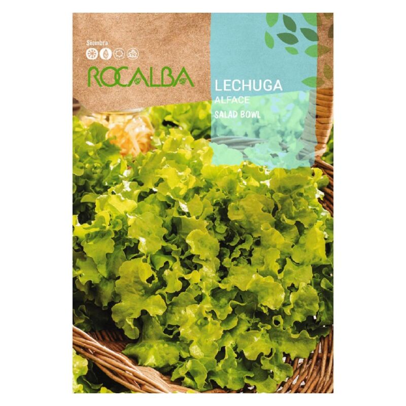 Rocalba - Seed Lechuga Salad Bowl 500G