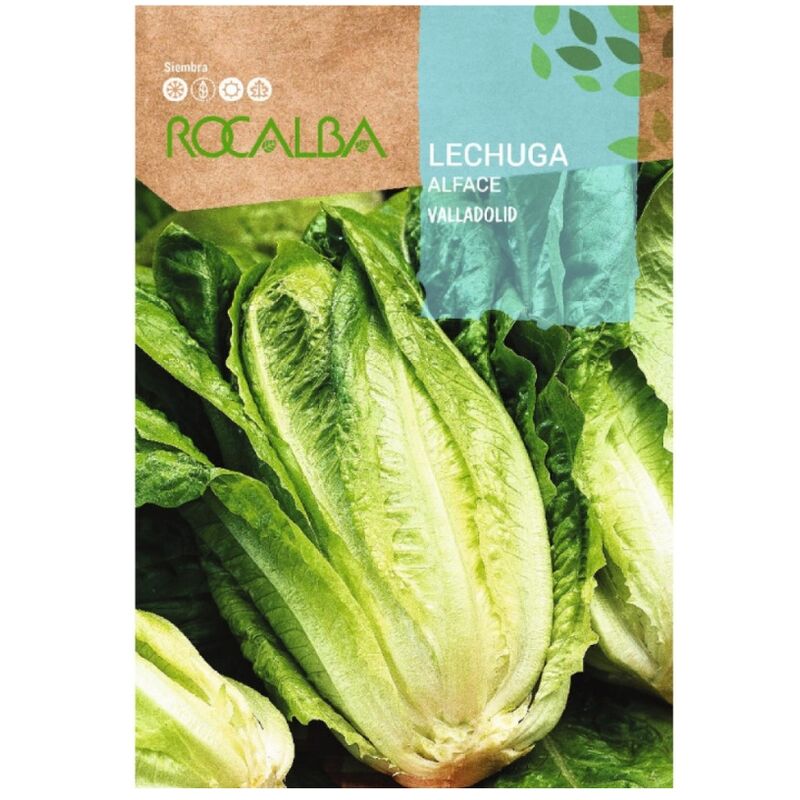 Seed Lechuga Valladolid 100g - Rocalba
