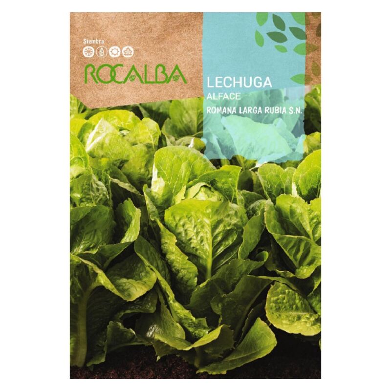 Rocalba - Seed Long Roman Lecuita Rubia s.n. 100g